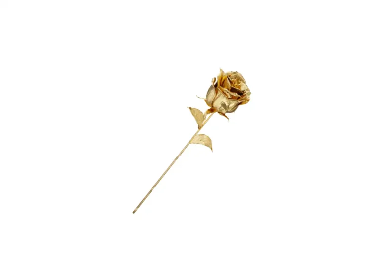 Gold Rose