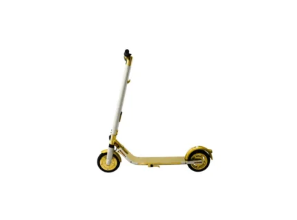 New Luxury 24K Gold Segway