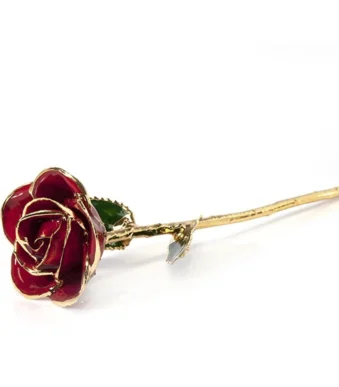 24K gold red rose
