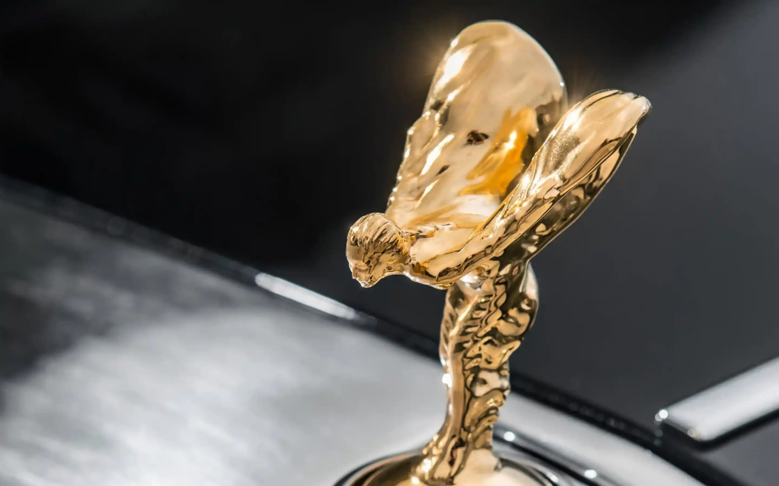 24K Gold Customization Status Symbol 2024