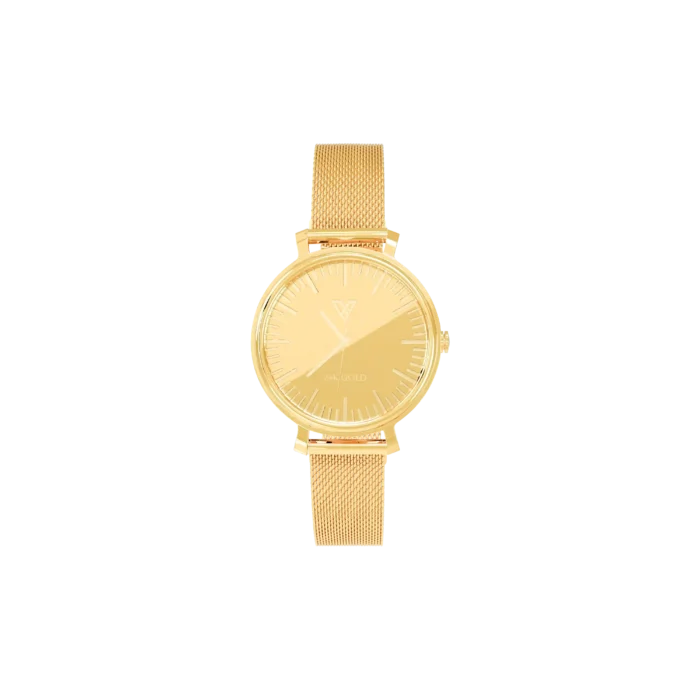 LM 2100 - Image 2