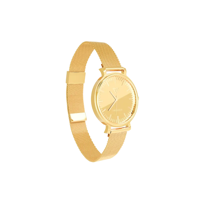 LM 2100 - Image 4